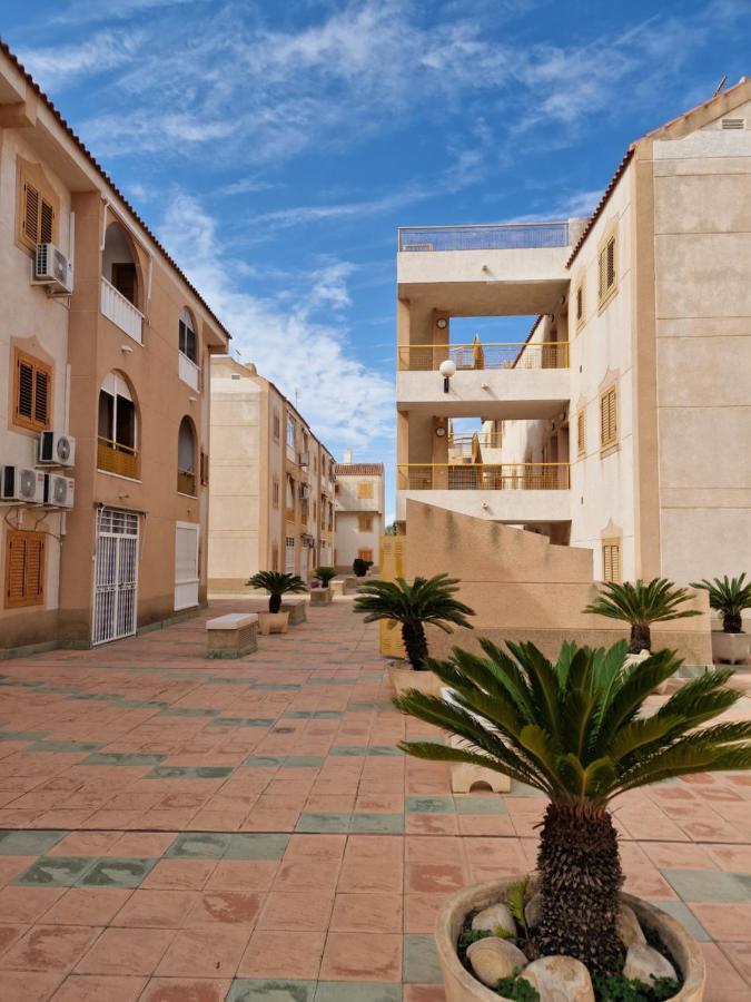 "Vero Vijola" In Τορεβιέχα Εξωτερικό φωτογραφία